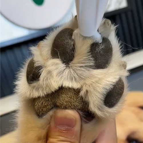 Silent Paw Trimmer Max™